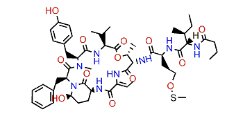 Symplostatin 2